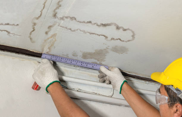 Reliable Burst Pipe Cleanup contractor in Whitehouse Station, NJ by Local Water Damage Repair